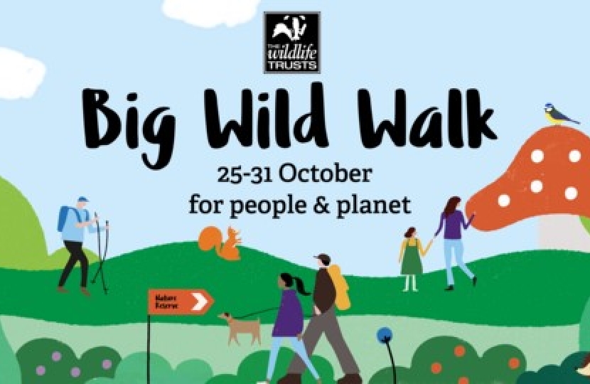 Big Wild Walk