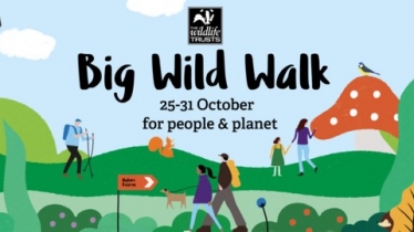 Big Wild Walk